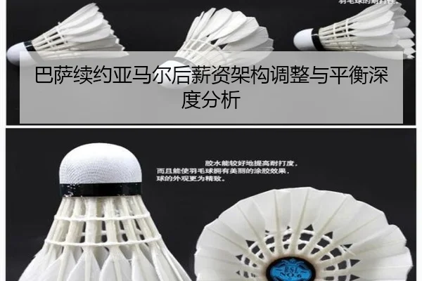 ba-sa-xu-yue-ya-ma-er-hou-xin-zi-jia-gou-tiao-zheng-yu-ping-heng-shen-du-fen-xi-2-902.jpg